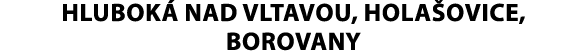 Hlubok nad Vltavou, Hola ovice, Borovany