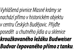 Vyhl en  pivnice Masn  kr my se nach z  p  mo v historick m objektu v centru  esk ch Bud jovic. P ij te posed t u ch...