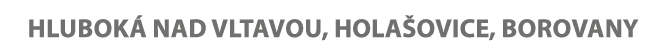 Hlubok nad Vltavou, Hola ovice, Borovany