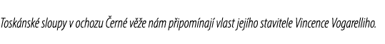 Tosk nsk sloupy v ochozu  ern  v  e n m p ipom naj  vlast jej ho stavitele Vincence Vogarelliho.