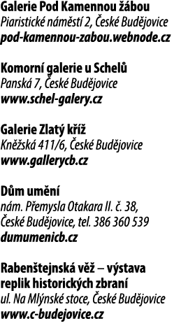 Galerie Pod Kamennou  bou Piaristick  n m st  2,  esk  Bud jovice pod kamennou zabou.webnode.cz Komorn  galerie u Sc...