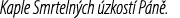 Kaple Smrteln ch zkost  P n .